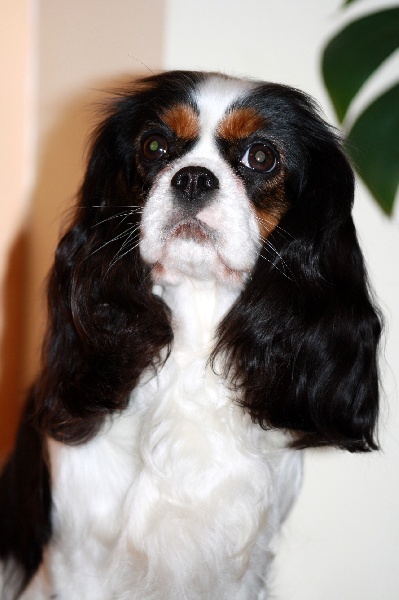 Feeling Du temps des irees